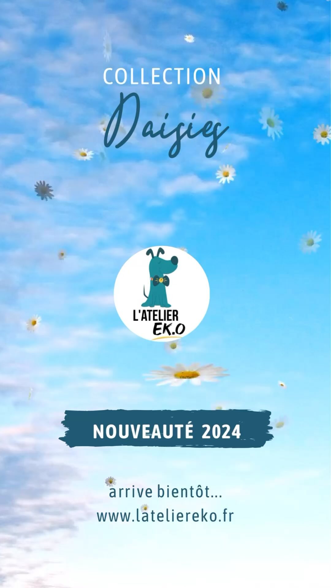 Les préventes sont ouvertes pour le nouveau modèle biothane imprimé Daisies, disponible en 3 largeurs, expédition prévue à partir du mercredi 15 février.
#dogcollar #collierchien #collierbiothane #biothaneimprime #doglovers #lateliereko #artisanatfrancais #artisan #paysdelaloire
