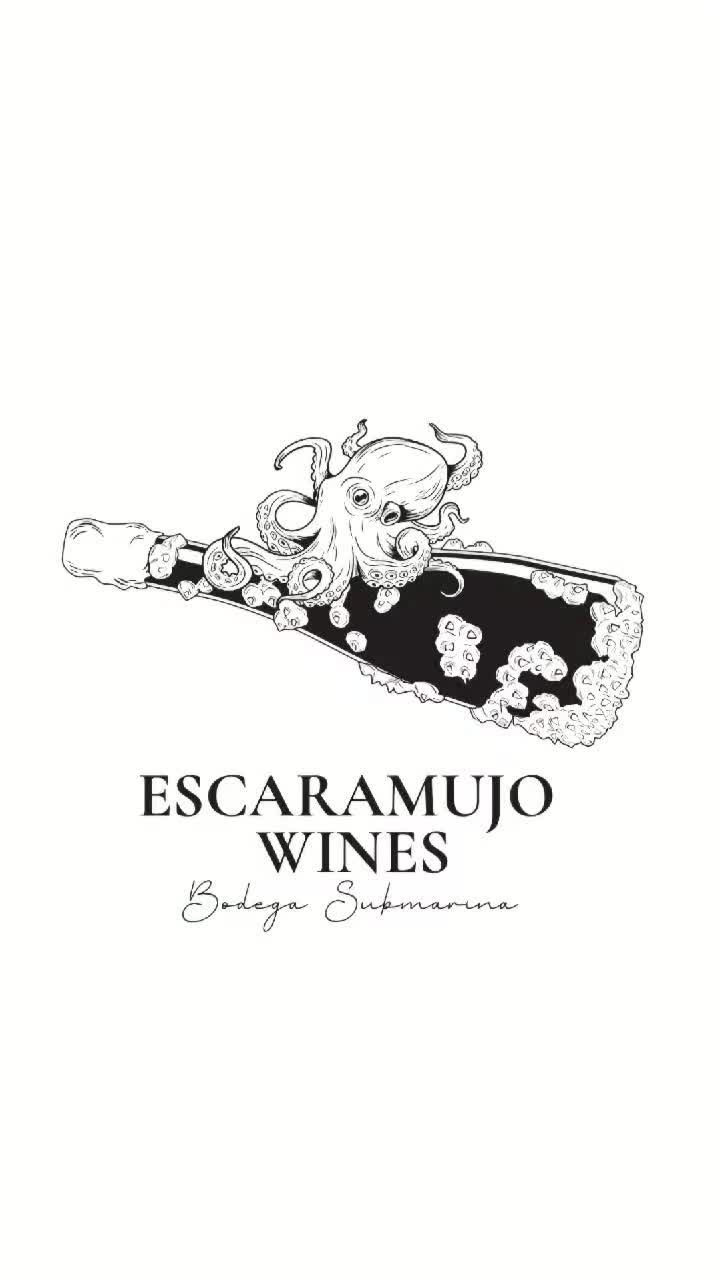 Él cometió el peor error de su vida… ¡No dejes que te pase lo mismo!🍷🌊
He made the biggest mistake of his life… Don’t let it be yours! 🍷🌊
.
.
.
#EscaramujoWines #UnderwaterWine #SubmarineWinery #DontMakeHisMistake #DiscoverTheTaste #UniqueExperience #OceanAgedWine #ExclusiveWine #WineAdventure #WineLovers #GastronomicTourism
.
.
.
#EscaramujoWines #VinoSubmarino #BodegaSubmarino #NoCometasSuError #DescubreElSabor #ExperienciaÚnica #SaboresDelMar #VinoExclusivo #AventuraSubmarina #WineLovers #TurismoGastronómico