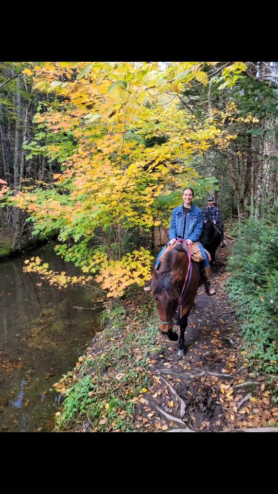 Fall Colors๐๐พ๐ Beautiful way to see the colours of Autumn. #wardsfalls #trailriding #cliffsoffundy #explorenovascotia #tourismnovascotia #horsebackriding #parrsboro #spiritreinsranch