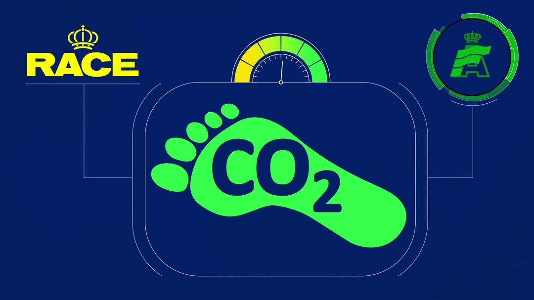 🌍✨ ¡Déjanos llevarte en un viaje visual hacia un futuro sostenible! 🎥💡 Estamos emocionados de presentar uno de muchos de nuestros videos de mothion graphics, creado para la Real Federación.
💚 En esta fascinante obra, fusionamos la creatividad con el compromiso hacia un mundo mejor. 🌿💫 ¡Juntos podemos marcar la diferencia! #ODS #Sostenibilidad #rfedea #mothiongraphics #animation