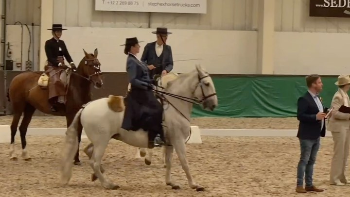 Watch to the end, you will not regret it! & Sound on!
Happy Friday and a little throwback to last week end at @addingtonequestrian for the @lusosocietygb 40th Anniversary Breed Show….
It’s always fun when you have riders with a sense of humour… @macacolife thanks for a great laugh! (After the initial shock)
What a great show! Well down to all, the committee and chair @amandabirchdressagemusic
Another week on the road with many places to go!
Have a great weekend all 💞
#equestrianlife #equestrian #horse #horsesofinstagram #horses #horseriding #dressage #equine #equestrianstyle #horselove #instahorse #showjumping #pferd #pony #horselover #horselife #equestriansofinstagram #cheval #equestrianlifestyle #pferde #pferdeliebe #dressagehorse #horseofinstagram #horsebackriding #love #riding #equinephotography #equestrianphotography #horserider #horsephotography