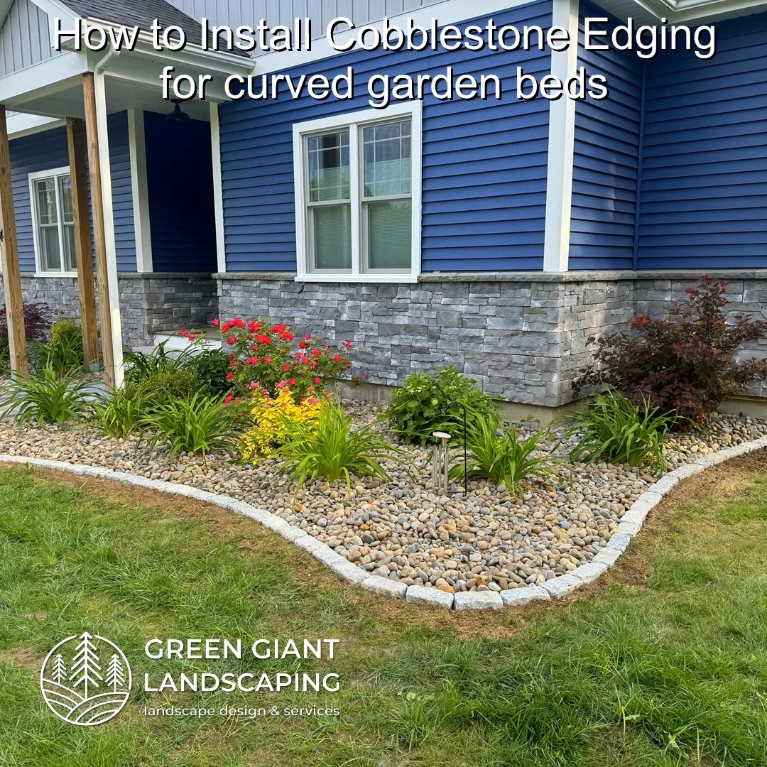 Installing cobblestone edging for curved garden beds is a key element in professional landscape design. This type of edging for garden beds not only enhances the visual appeal of your front yard landscaping but also effectively separates your flower beds from the lawn, creating a clean and defined look. Proper edging prevents the grass from encroaching into your plants and makes maintenance easier, ensuring a well-kept appearance. Integrating cobblestone into your backyard landscape design adds structure and elegance, while careful plant installation completes the overall aesthetic, making your garden a standout feature of your property.
Landscaping Southeastern, MA.
Call now for your free quote!
Professional Landscape Design.
https://www.greengiantlandscaping.com/
Phone:
+1 413-406-9094
#landscaping #landscapedesign #gardening #gardendesign #landscaper #landscapearchitecture #treeandshrubtrimming #mulch #Massachusetts #southshore #newton #boston #hingham #marshfield #scituate #NewtonMA #scituatema #milton #canton #wellesleyma #SpringCleaning #shrubtrimming #shrubcare #plantingseason #plantingtrees #plantingdesign #gardentransformation