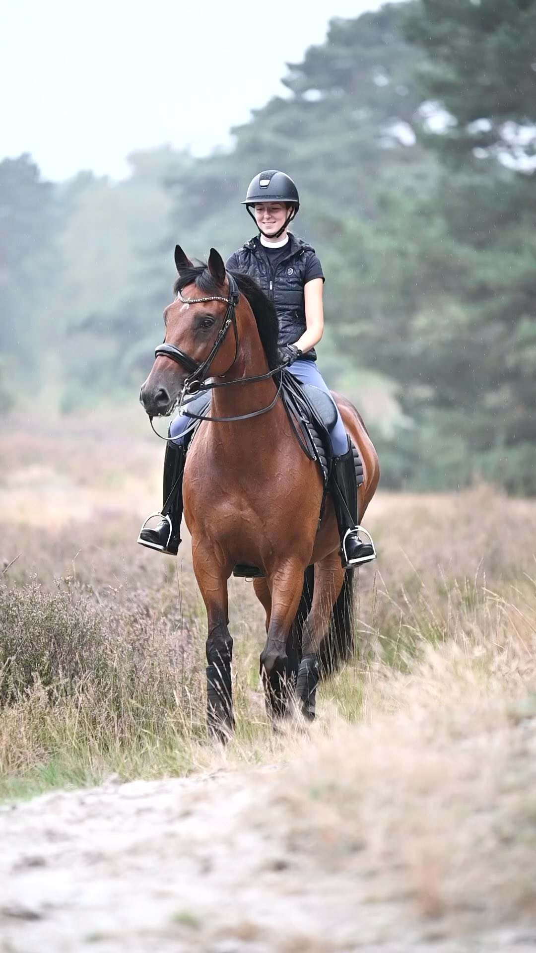 Na zes jaar vol mooie herinneringen is mijn allerliefste Dordogne Dn verkocht❤️
Wat hebben wij een waanzinnig avontuur beleefd! Gestart in de B tot aan de Prix st Georges wedstrijden waar we nu al een aantal jaren samen mogen schitteren.🤩
Hij is echt mijn beste vriendje geworden en hoewel hij nu een nieuwe eigenaar heeft in Taiwan, blijft hij gelukkig toch nog bij mij in training. Het voelt goed dat ik hem nog mag en kan blijven trainen en ik kijk er enorm naar uit om verder te gaan met hem en zijn nieuwe eigenaar🥰
@z.jonative.c
@joaoinvernoreis
