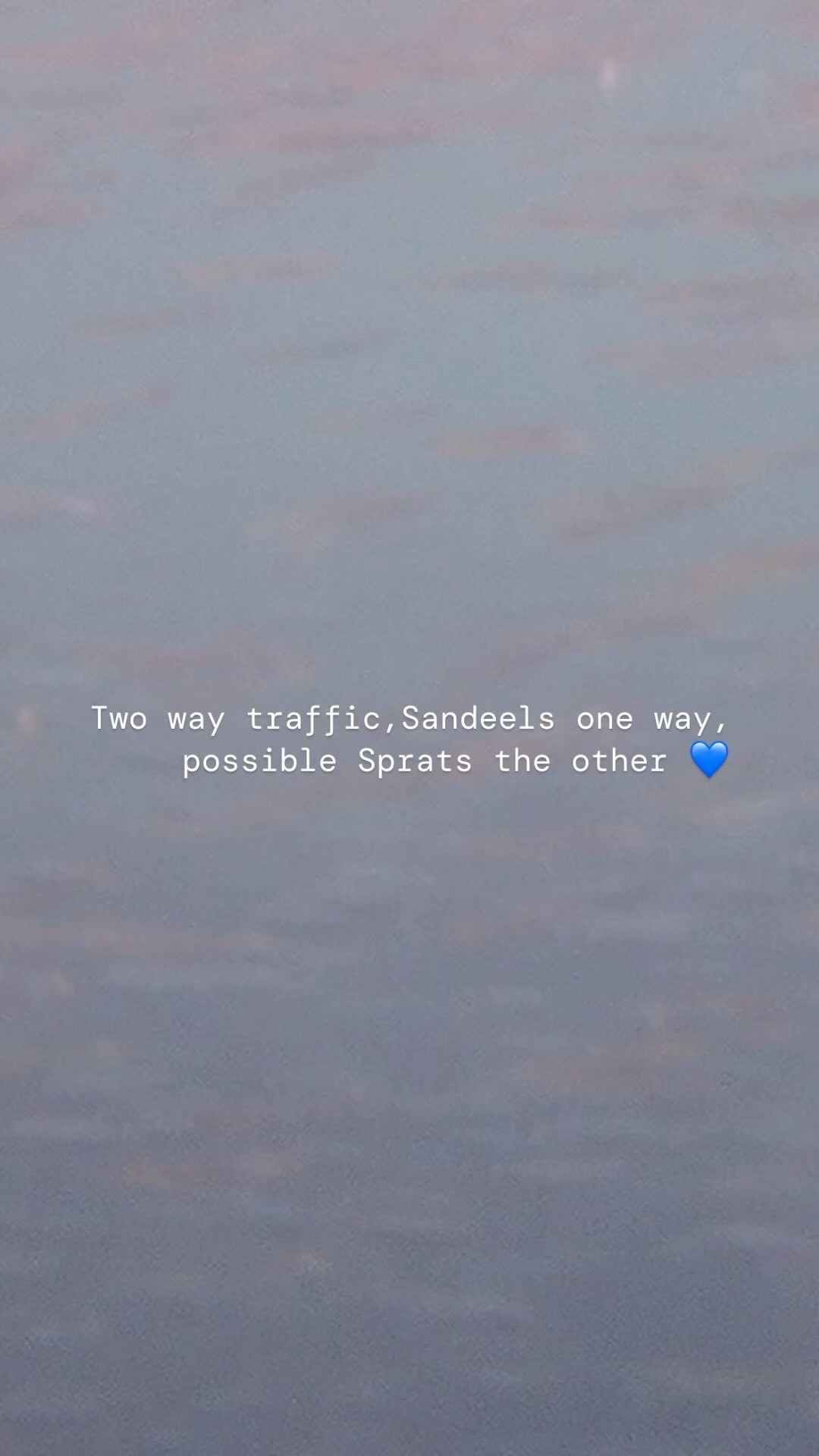 1000s of Sandeels and Herring sp. possibly sprats in the water this week. Hard to get through…