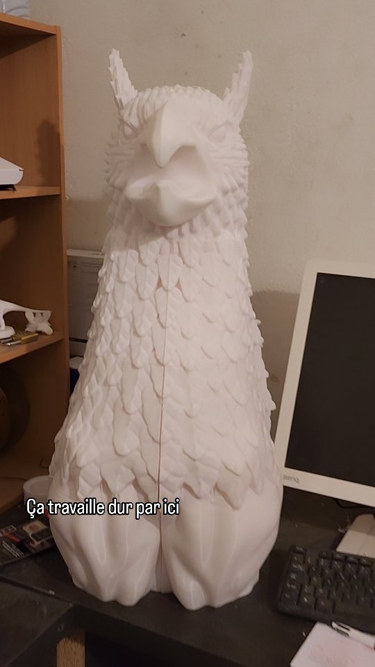 Quand les imprimantes 3D sont en action 🔥
A votre avis combien de temps d'impression au total nécessitera la réalisation du Gryphon ?
#auxnuitsmagiques #gryphon #griffon #harrypotter #imprimante3d #decor #nuitinsolite
