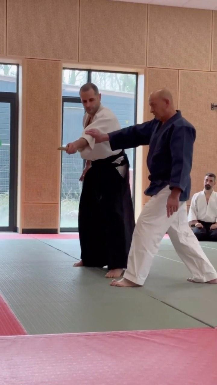 Nebi Vural Aikido Seminar, Amsterdam 2024
#aikido #aikidoamsterdam #nebivural #eurasiaaikido