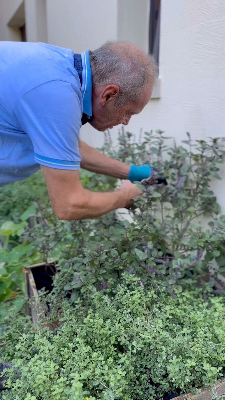 Mit liebe kümmert sich Miteigentümer Viktor fast täglich um unseren wunderschönen Garten 🥰
#oberstadtbaden #oberstadt #badenist #badenisst #gaultetmillau #gaultmillauschweiz #guidebleu #restaurant #garten