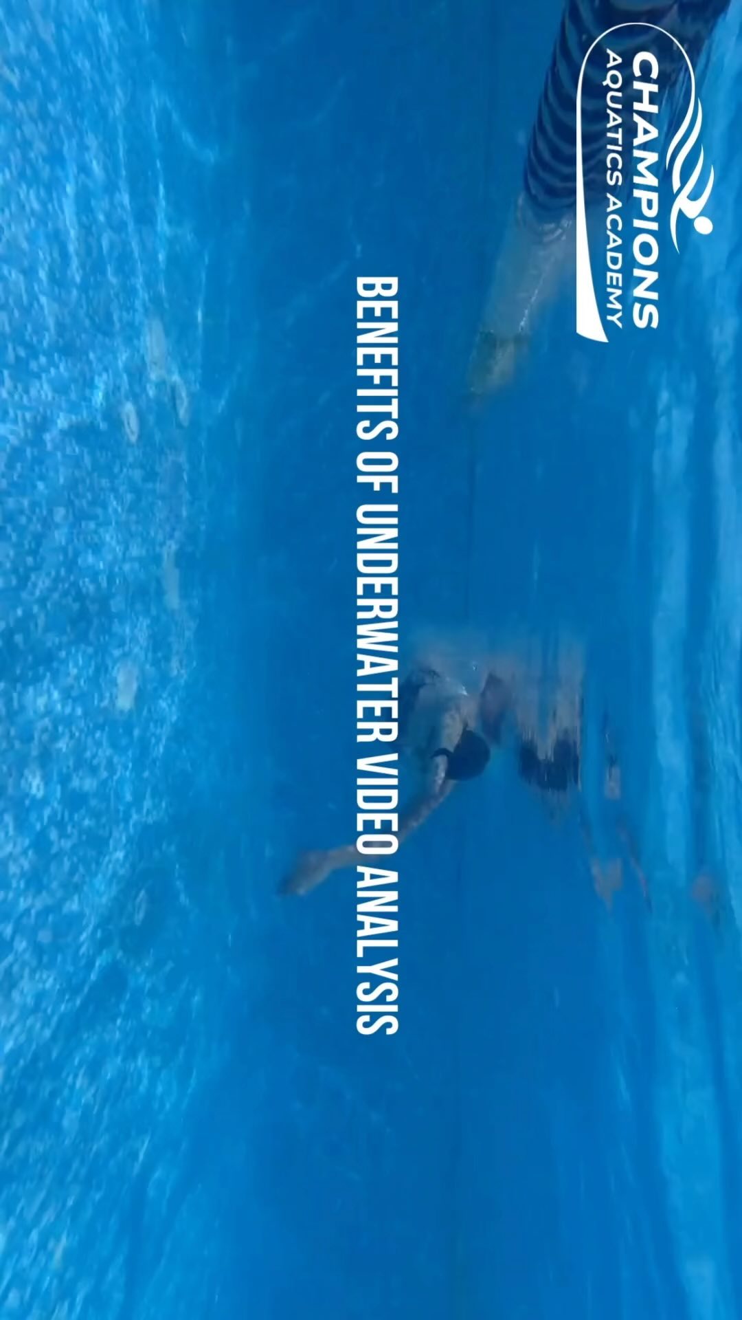 Join Champions Aquatics Academy Now!
Contact: 9810363606
-
-
-
-
-
-
-
-
#swim #swimming #swimmer #swimmers #swimlife #swimmingpool #swimclub #swimmingacademy #haryanaswimming #haryanaswimmingassociation #championsaquaticsacademy #swimmingpools #surroundsound #surroundsoundchallenge #underwater #ďŹtness #sports #kheloindia #blue #water