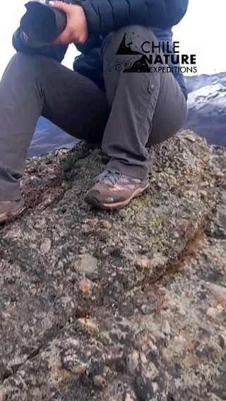 19 de Noviembre día mundial de la mujer emprendedora