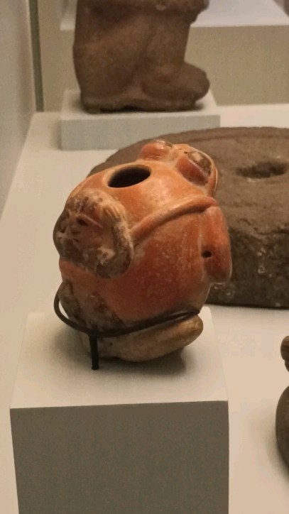 HYBA sapo . Lengua Mhuysqhubun. Sapo Maya .Puebla México