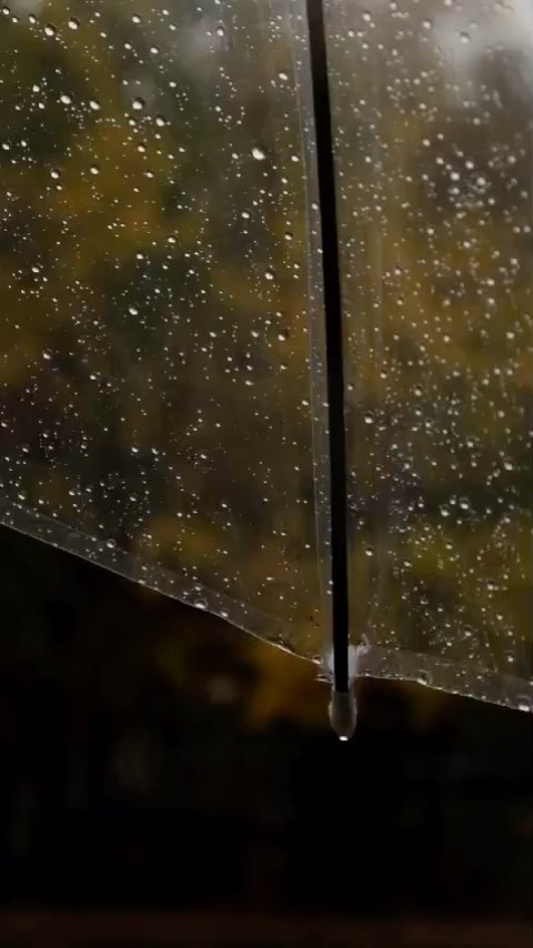 #AirsourceCompany #HeatPumps #NetZero #RenewableHeating #BoilerUpgradeScheme