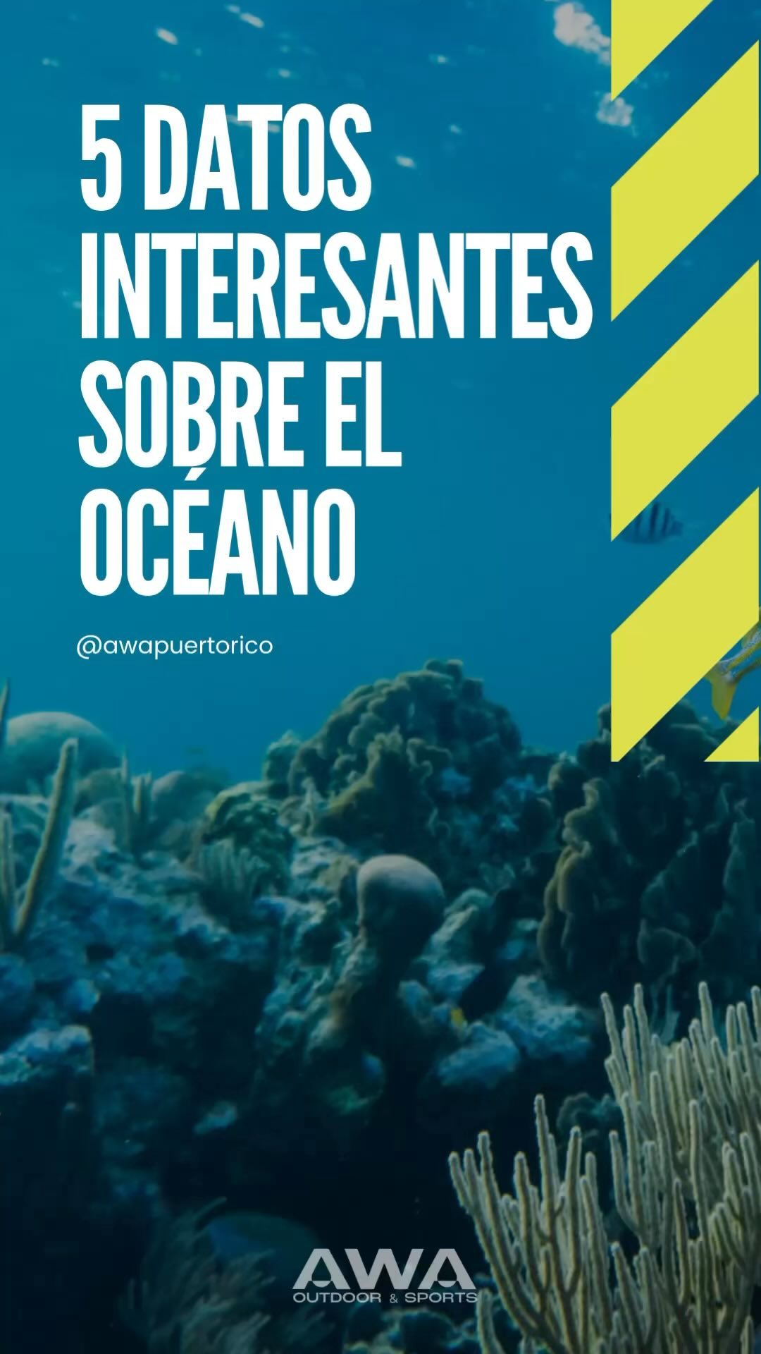 💧Los océanos son la fuente principal de vida para todo lo que existe sobre la Tierra. 🌎 Protégelo 🩵
#diamundialdelosoceanos