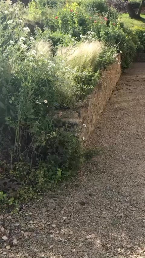 A little glimpse of summer and the promise of what’s to come on this wet grey day. Sent to me by a dear friend and client to remind me how her garden looks in summer. Roll on that sunshine. 🌸