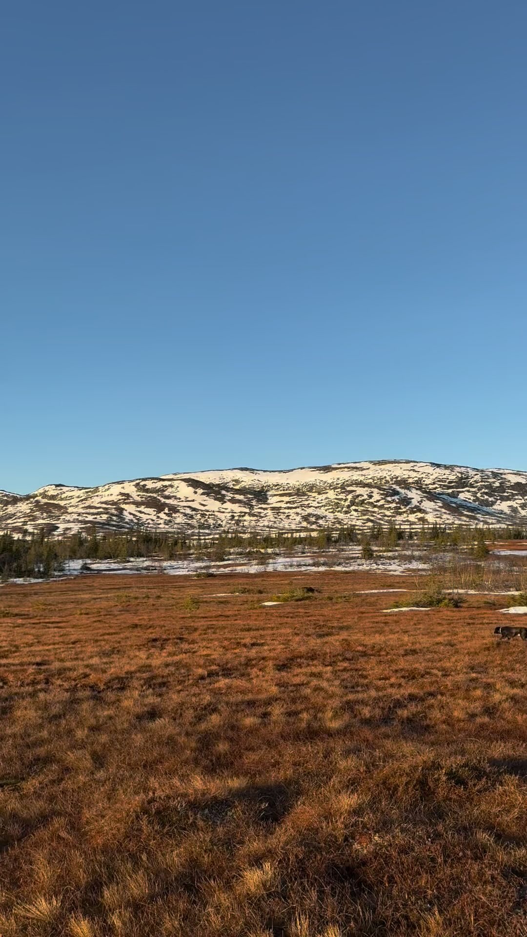 Godmorgon Åre 😊💯