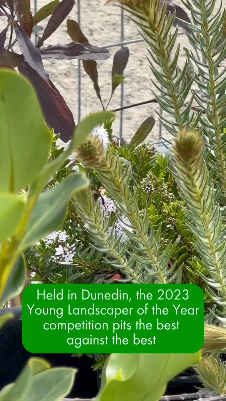Entries are now open for Young Landscaper of the Year 2024! Not sure what to expect? Here's what contestents tackled during 2023's competition.