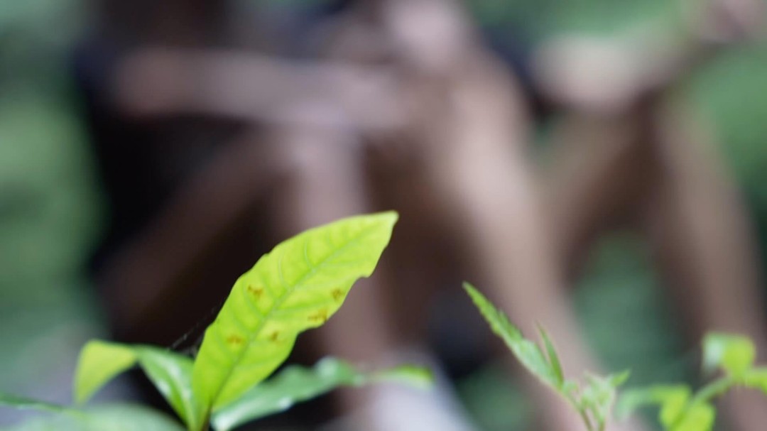 Let us join you on your adventures. We create our products with versatility and longevity in mind, using mid weight organic cottons. We want you to look and feel good whether trekking to waterfalls or going for dinner
#travelbrand #traveltheworld #backpackerstyle #digitalnomadlife #digitalnomadlifestyle #organiccottonclothing