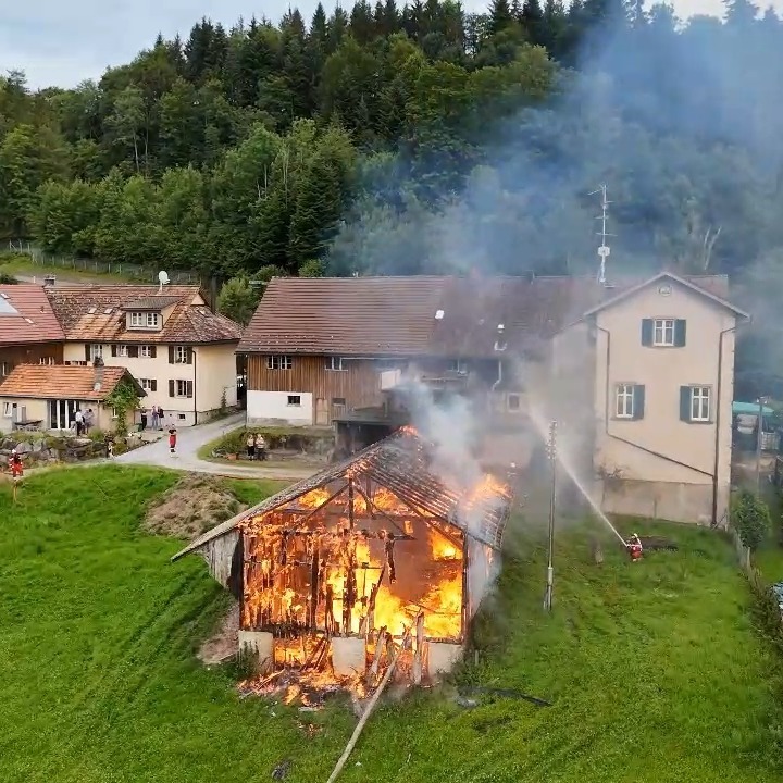 Einsatzübung "Smoke on the Hill" der ganzen Feuerwehr TWW anlässlich unserer Sommerschlussübung 2024 im Verbandsgebiet.
.
.
.
.
#feuerwehr #feuer #firefigther #118 #118swissfire #einsatzübung #übung #ausbildung #training #turbenthal #wila #wildberg #tösstal #hobby #zusammenarbeit #blaulicht #unserefreizeitfürihresicherheit #feuerwehrhandwerk #brandbekämpfung #rettung #einsatzleitung #einsatzleiter #vbtraining
