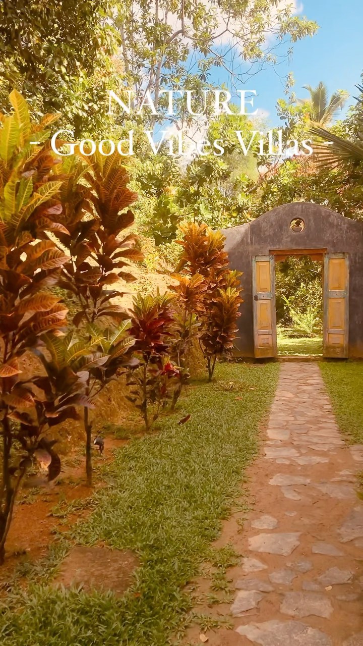 F E E L T H E N A T U R E
@goodvibesvillas
#nature #motherearth #green #srilanka #hotel #trees #island #wanderlust #natureexperience #discoverearth #discovery #travel
