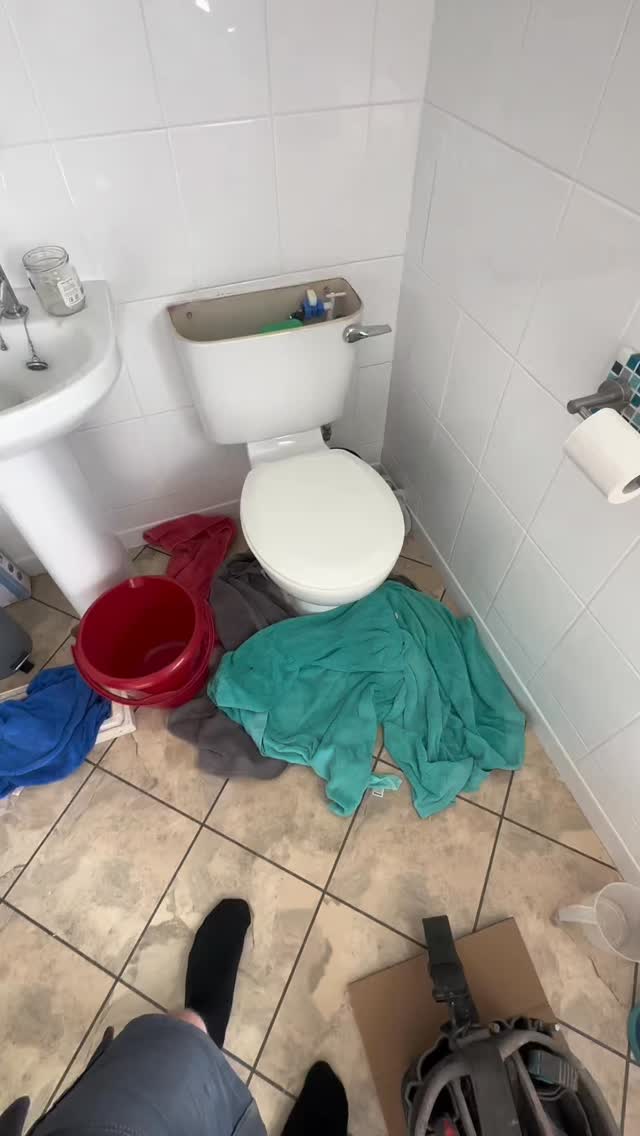 Never a dull moment in plumbing… 🍏
#plumbingstory #plumberlife #plumberhighpeak #plumberproblems #tradelife