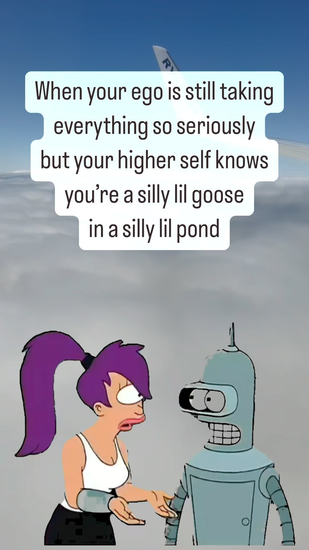 🪿 #spiritual #ego #innerwork