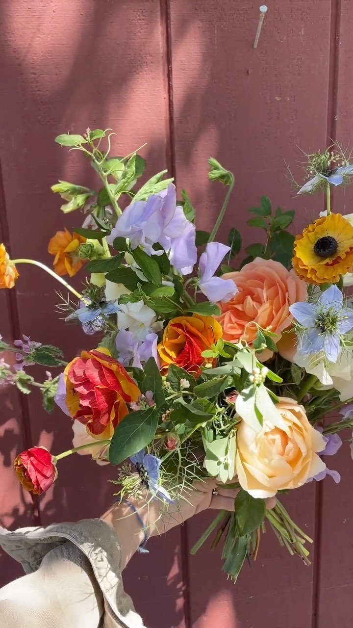 A flouncy smattering of the good stuff for a late spring bridal bouquet. We offer a la carte arrangements and DIY buckets of bulk flowers for events of all sorts: backyard weddings, celebrations of life, baby showers, parties for people who like flowers. These options are ideal for the easygoing party people who want beautiful, locally-grown, organic flowers with minimal fuss. We love walking the fields and scouting for the best blooms, nerding out about color palettes, and designing these orders for you! Link in bio to learn more about our event offerings.
