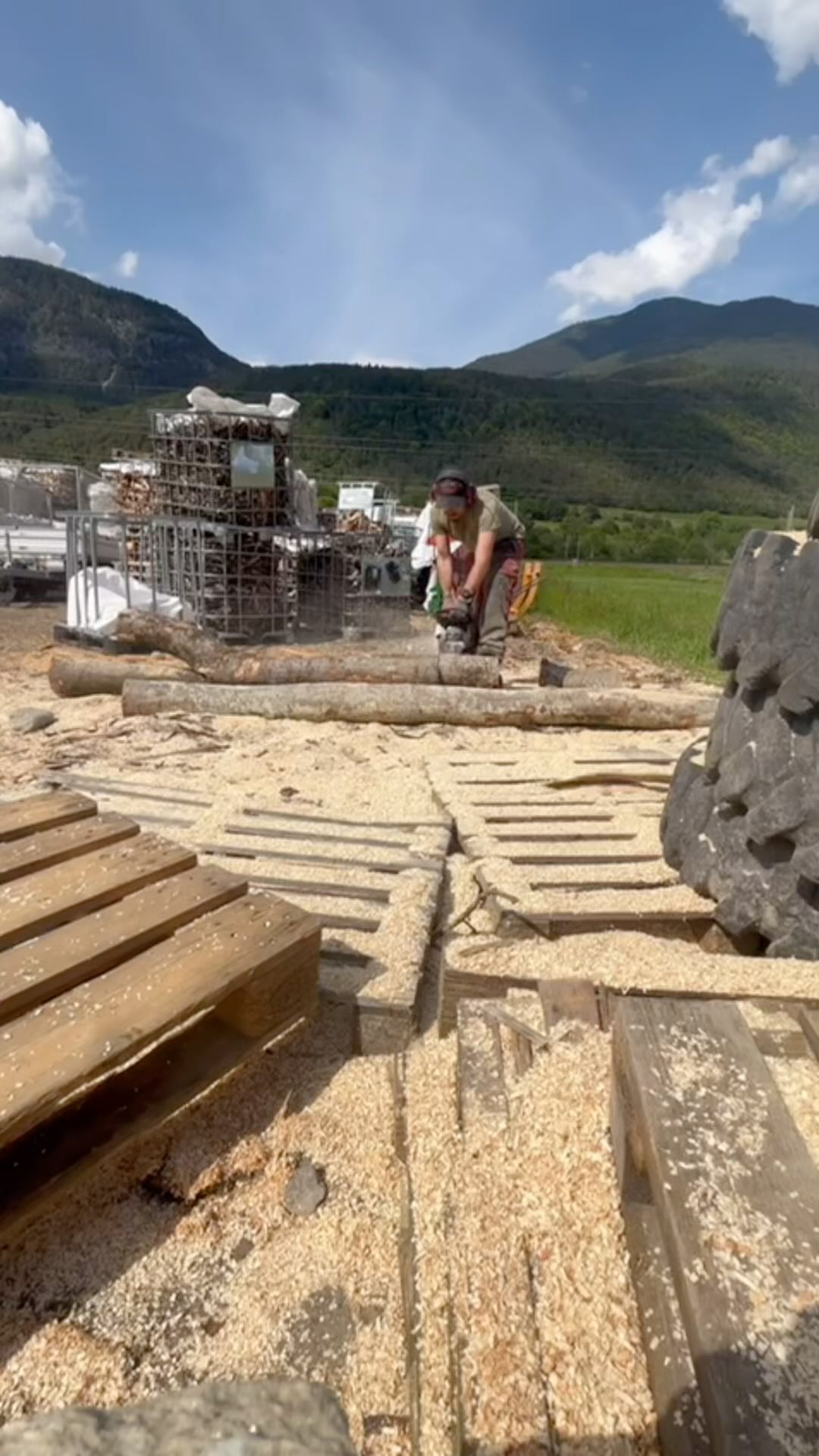 Holz für die Saison vorbereiten 🔥 🪵 #holz #smoker #bbq #americanbbq #fleisch #offsetsmoker #tirol #stihlchainsaw