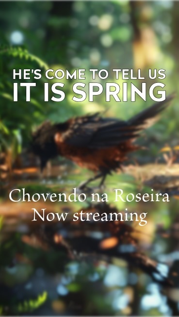 “See how a robin is there among the puddles. And, hopping through the misty rain drops, he’s come to tell us it is spring. 🐦🌧🌿
Chovendo na Roseira by Antonio Carlos Jobim streaming now.