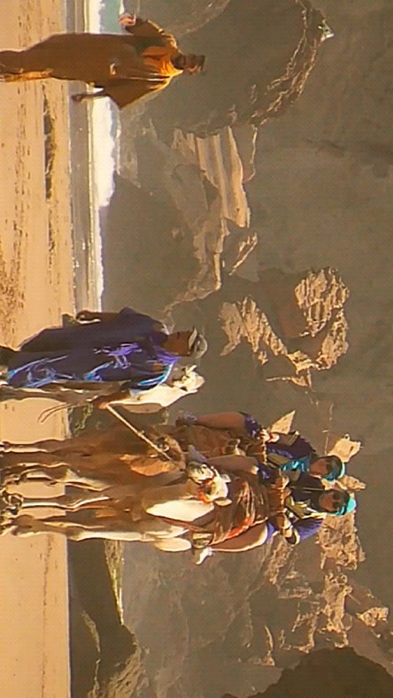 Snoopy Style vibes 😜
.
.
.
.
.
#surfcoaching #surftrip #surfmorocco #surfguiding #taghazout #snoopystyle #surf #waves #morocco #surfschool @surfline