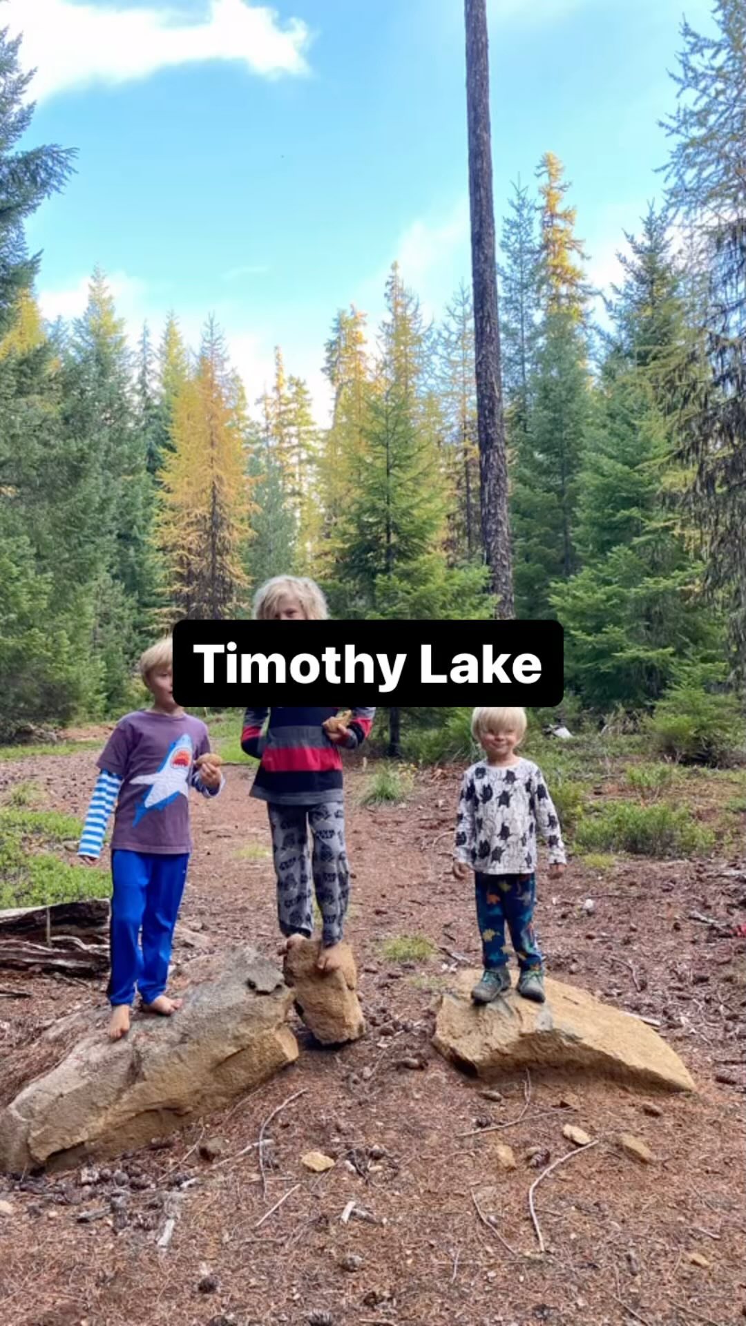 📍 Timothy Lake
Learning Topics: Old growth forests, trees, mushrooms, bird watching, lakes
#wildandbarefootadventures #timothylake #exploreoregon #mounthoodnationalforest #placebasededucation #adventure #travel #hikingwithkids #greentime #natureplay #foragingwithkids #familyadventures