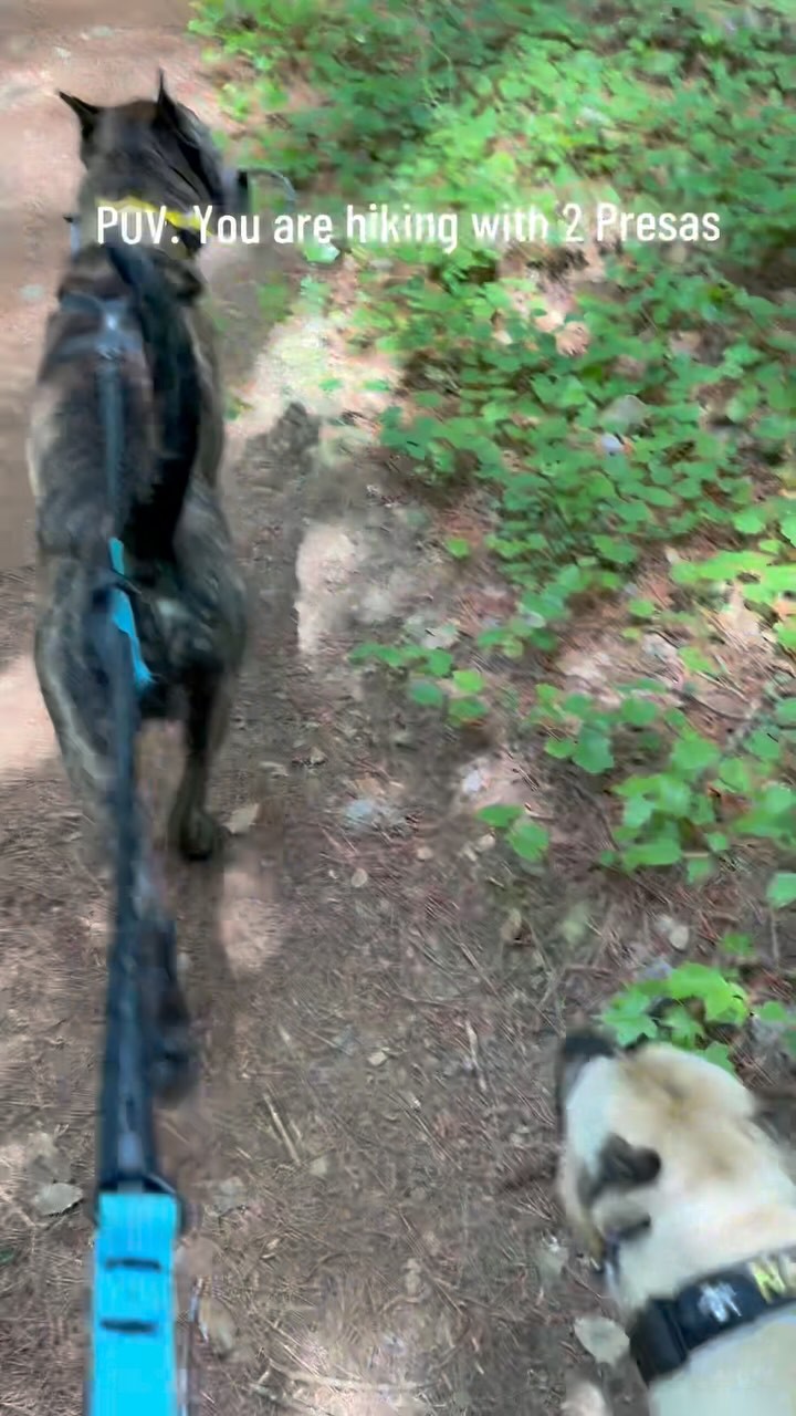Had a little extra free time this weekend so we took both the dogs hiking in our favorite spot, New Hope Overlook. A nice 5.8 miles! Nothing like being outdoors with your dog
