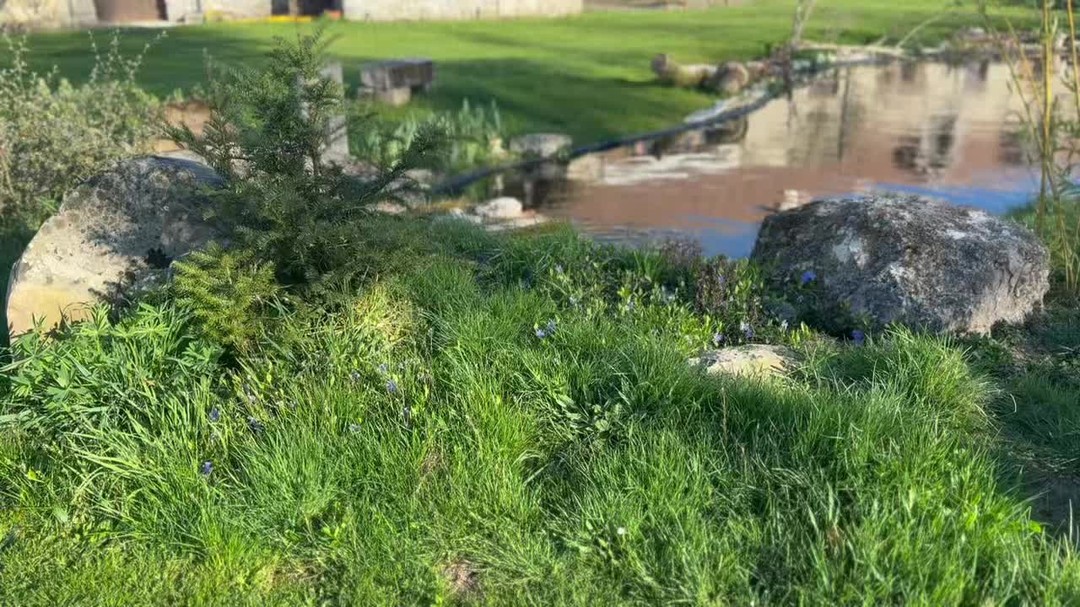 Consulting on a private garden in the Loiret shopping at my favorite pépinière, rosiériste André Ève.