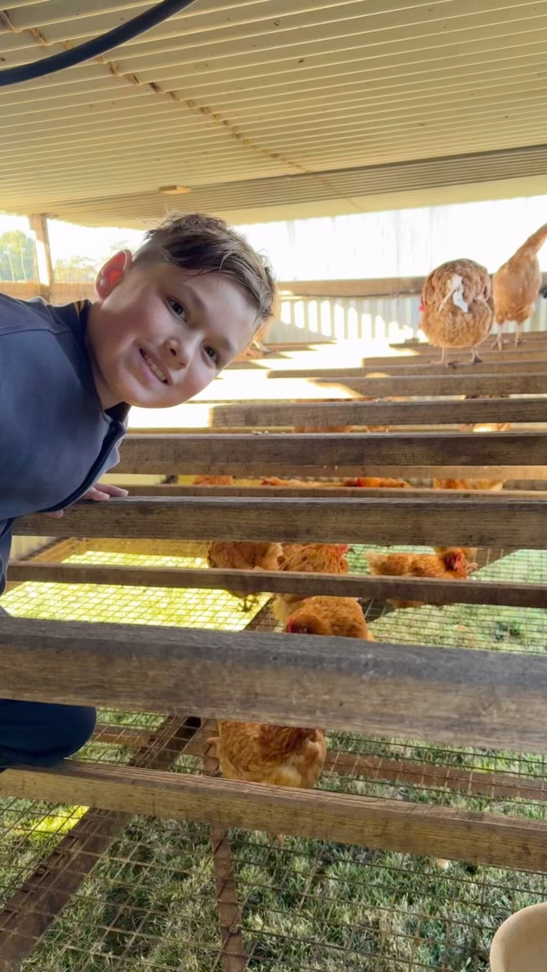 Thats Eggy… Our entrepreneur son (with the help of his parents and some wonderful people in the community) he has received his chicken caravan and soon producing free range eggs… Please follow his journey on @thatseggy