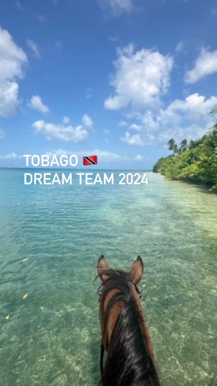💛TOBAGO💛 it was magic #2024