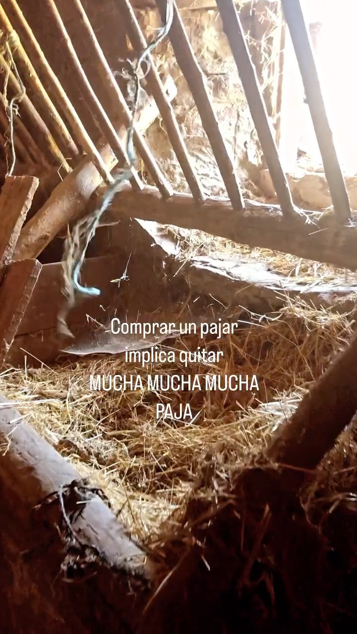 Como echando una partida al Catán, pero de momento solo sale PAJA 🌾
.
.
.
#paja #pajar #alpaca #cuadra #rehabilitarcuadra #reformacuadra #reformacasavieja #reformacasacampo #reformacasavieja #reformapajar #reforma #reformas #dentrodellapicero