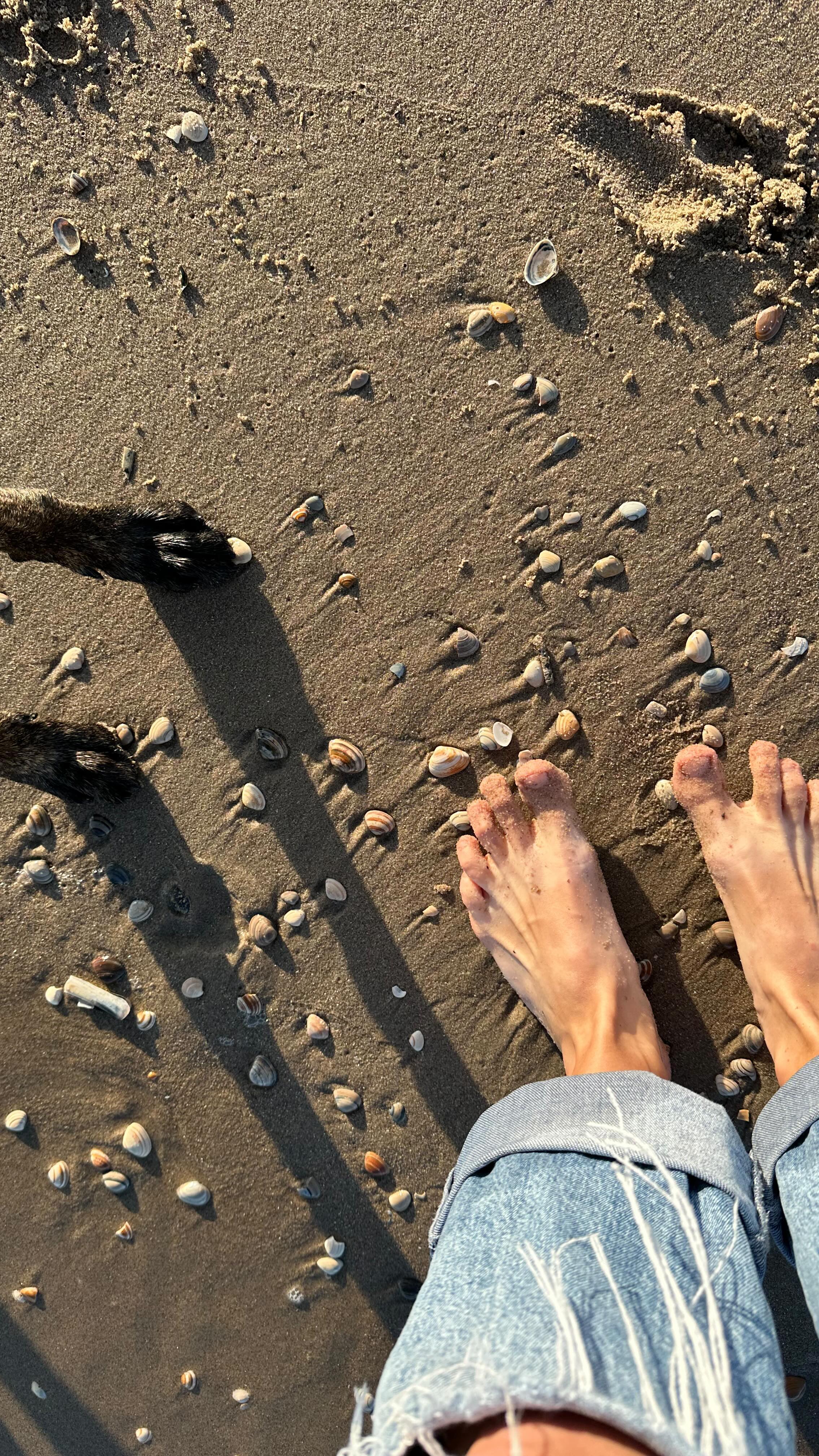 Wenn der Hund schöne Ferien hatte, war es beim Frauerl wahrscheinlich nicht viel anders 💫🍺🌊🥰 #roadtrip #iseethesea #summer #vacation #dogmum