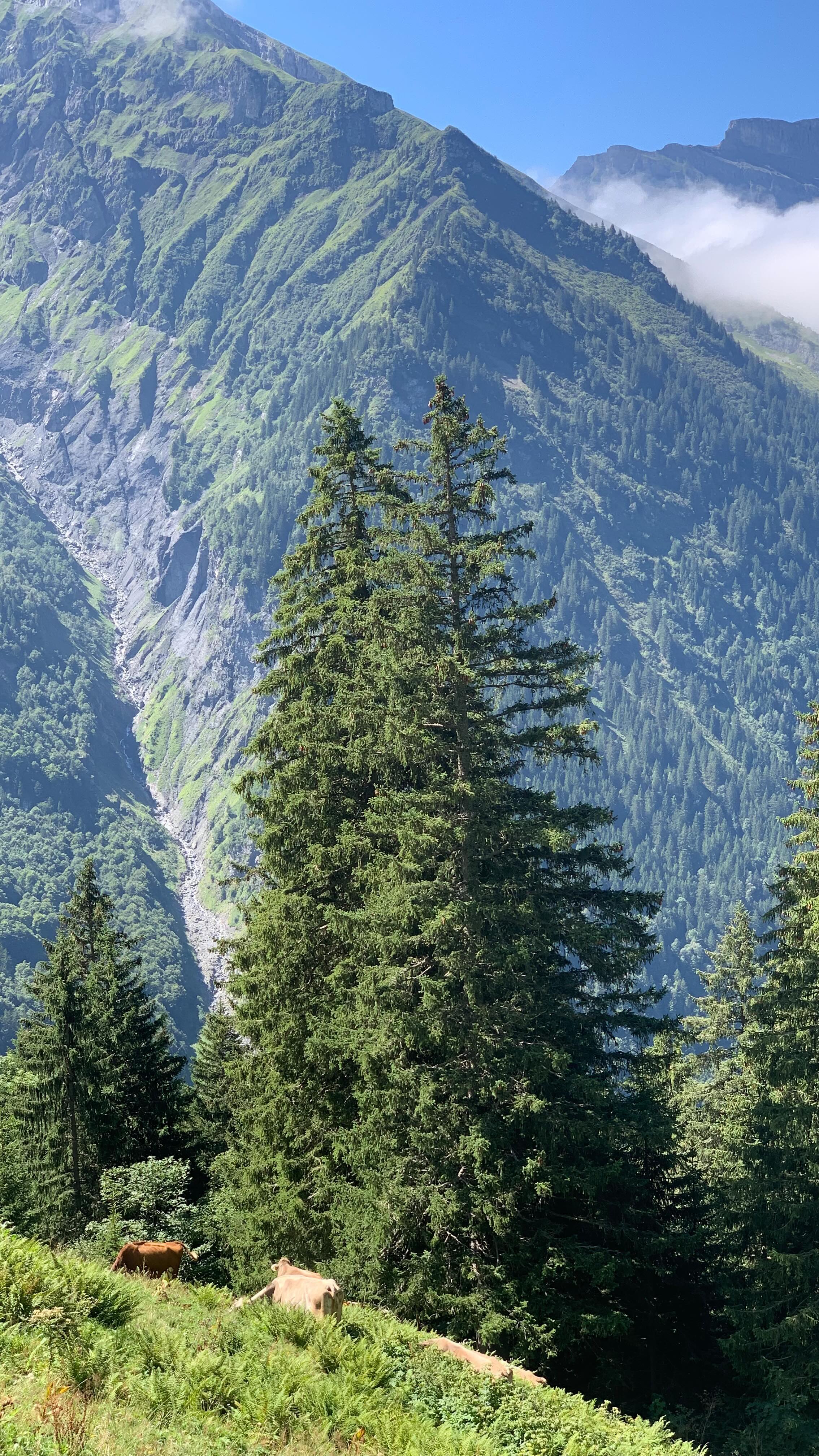 Vill du vandra eller springa i bergen med oss? 😍👌☘️
Vi har några platser kvar 12-15 september till vår VANDRINGSWEEKEND i härliga Engelberg. 🇨🇭 ❤️Passar dig som vill njuta av aktiva dagar i bergen och lugna kvällar på vårt hotell @hotel_st_josefshaus_engelberg ✨🌸🏔️
Det finns även möjlighet att lägga till yoga 🧘🏼♀️ en dag innan/efter vandringen med vår lokala yoga guide @samirayogalove 🍃🌾🌼 Rekommenderas!
🔝⛰️ Hela SEPTEMBER-OKTOBER är öppet för guideförfrågningar i bergen för dig som vill vandra, cykla eller springa trailrun ⛰️
Varmt välkommen! 💞