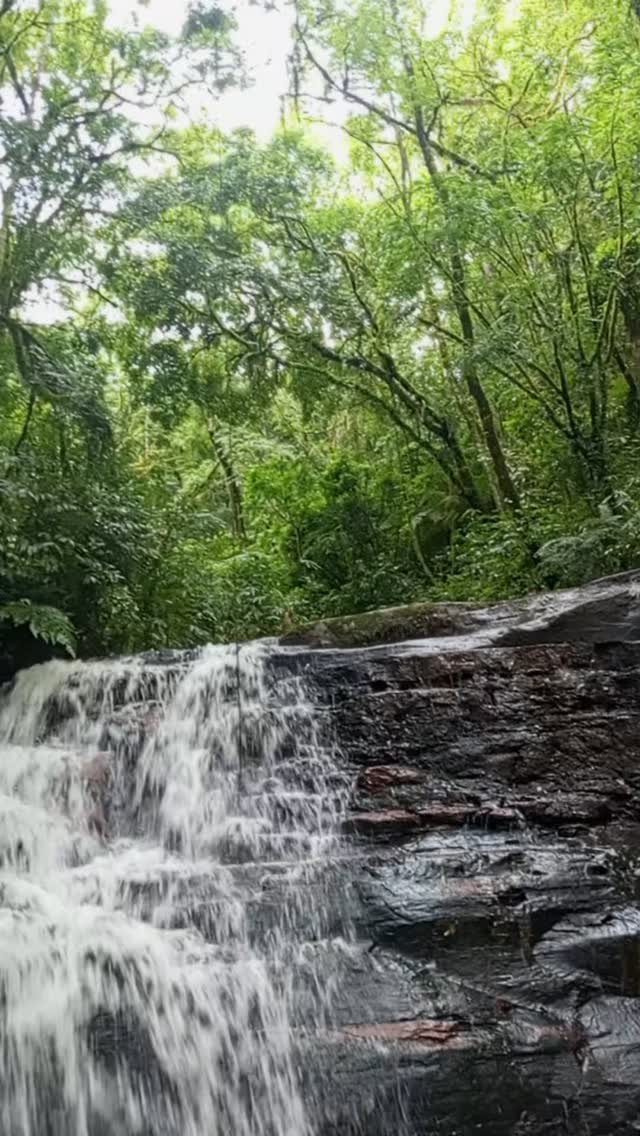 Serra do tigre Mallet Parana