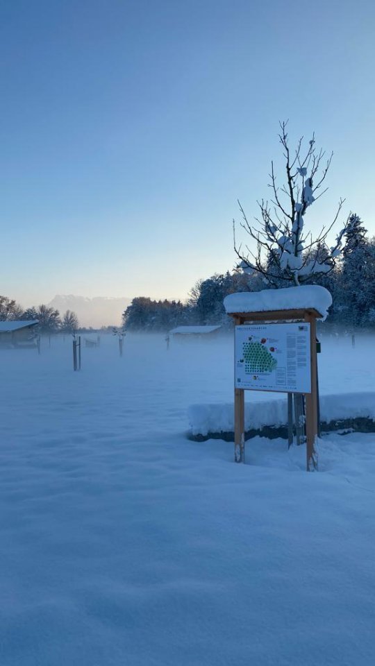 Unglaublich wie die Zeit vergeht, schon ist wieder ein Jahr um!
Ich wünsche Euch einen guten Rutsch ins neue Jahr 2024 mit einem kleinen Rückblick auf 2023🍀
Viel Glück, Erfolg und Gesundheit im neuen Jahr🍾
#gemeindesaaldorfsurheim #saaldorf #surheim #berchtesgadenerland