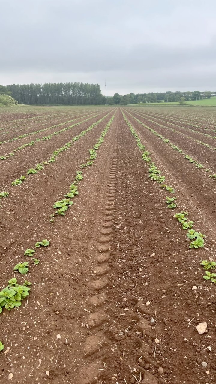 Grüße von der Nordküste Schottlands.