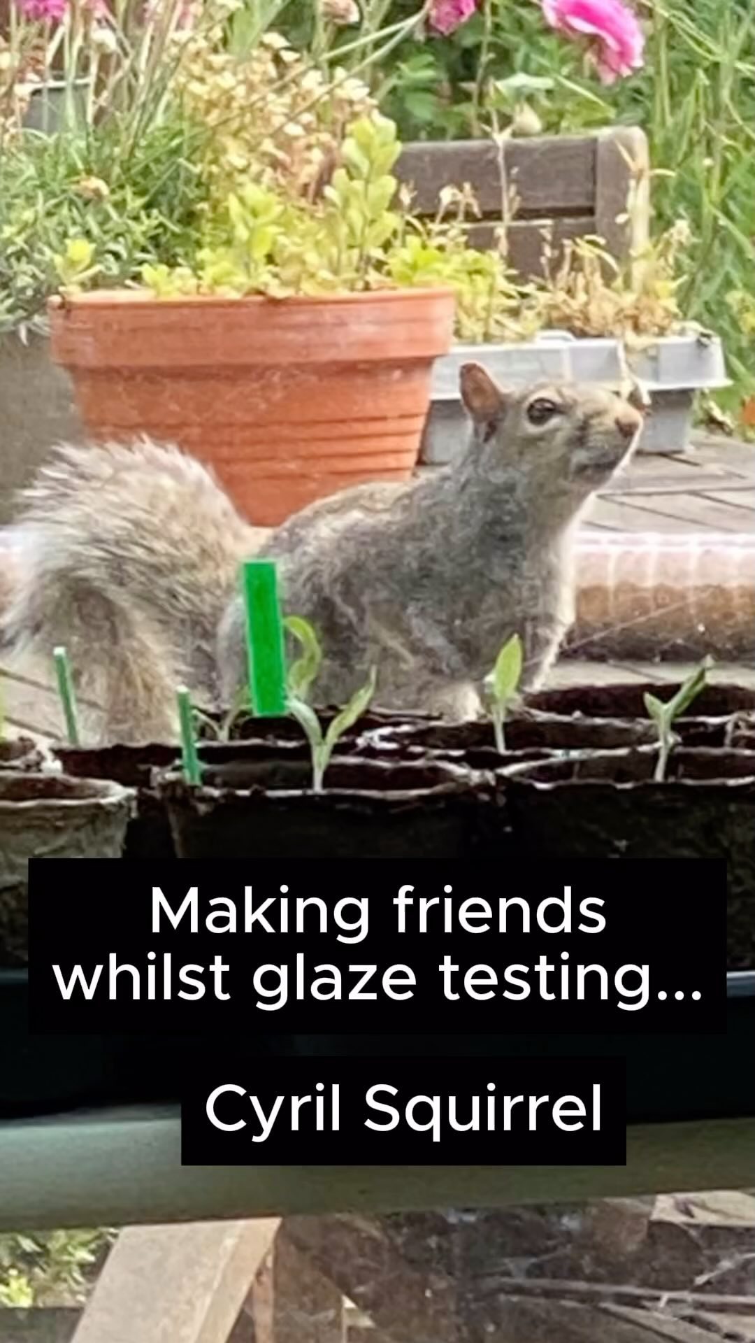 Making new friends whilst preparing for another round of glaze testing.
This time, I’m testing on my red earthenware clay. I make tester tiles with my logo on & some little tester beakers - as I like to know how the glaze will turn out on a vertical surface. You’ll see that I put a ridge in at the bottom of the beakers just in case - as it’s not unheard of for glazes to run down the pot & onto the kiln shelf! Yikes! 😬
I’m easily distracted by my new friend Cyril - he/she clambers over the roof of the pottery and peers into windows 👀❤️
The woodpecker seems to have had a family! There were two little fluffy ones with it yesterday!
Right, back to the testing!