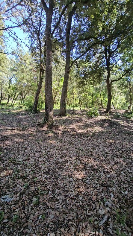 La cérémonie de Mariage à l'ombre des chênes centenaires, quelle belle idée en juillet 🌳🌞
#domainedevalbonne #saintpauletdecaisson #occitanie #mariageenprovence #sinspirersemarier #southoffrance #lieudexception #weddingprovence #ceremonielaique #ceremoniemariage #foret #weddingprovence