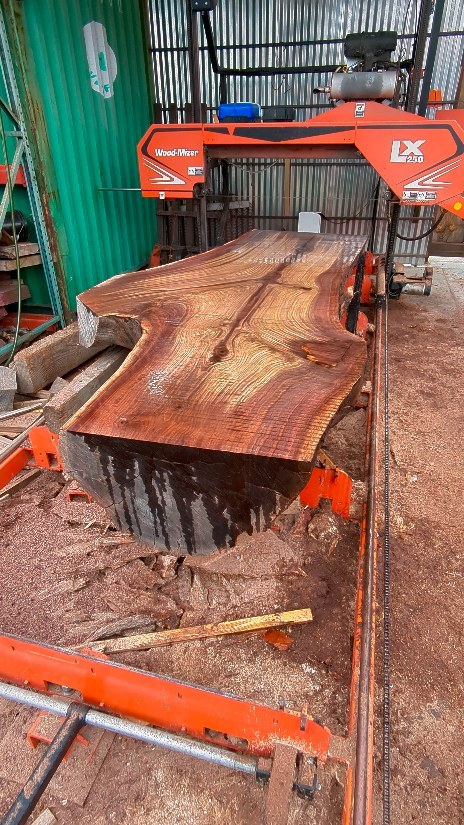 Got after some Colorado dead standing Black Walnut yesterday... Obviously not the color it once was but certainly no slouch. Pretty massive, had to trim down for the 54" mill.
.
.
.
#sawmill #urbanlumber #woodporn #liveedge #blackwalnut #denverwoodslabs #slaburday