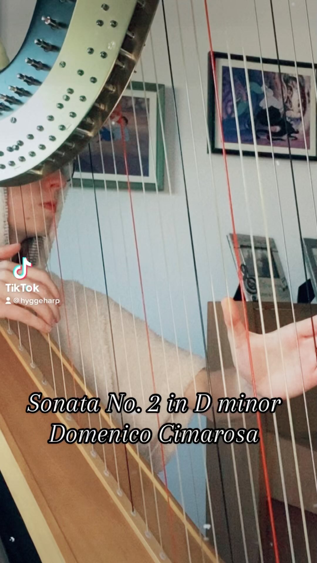 I heard this gem on Spotify’s Dark Academia Classical, and I loved it, so I learned it.
#hyggeharp #classical #darkacademia #harp #harpist #harpmusic #aesthetic #cozy #yorkshire #durham #relax #atmosphere #musician