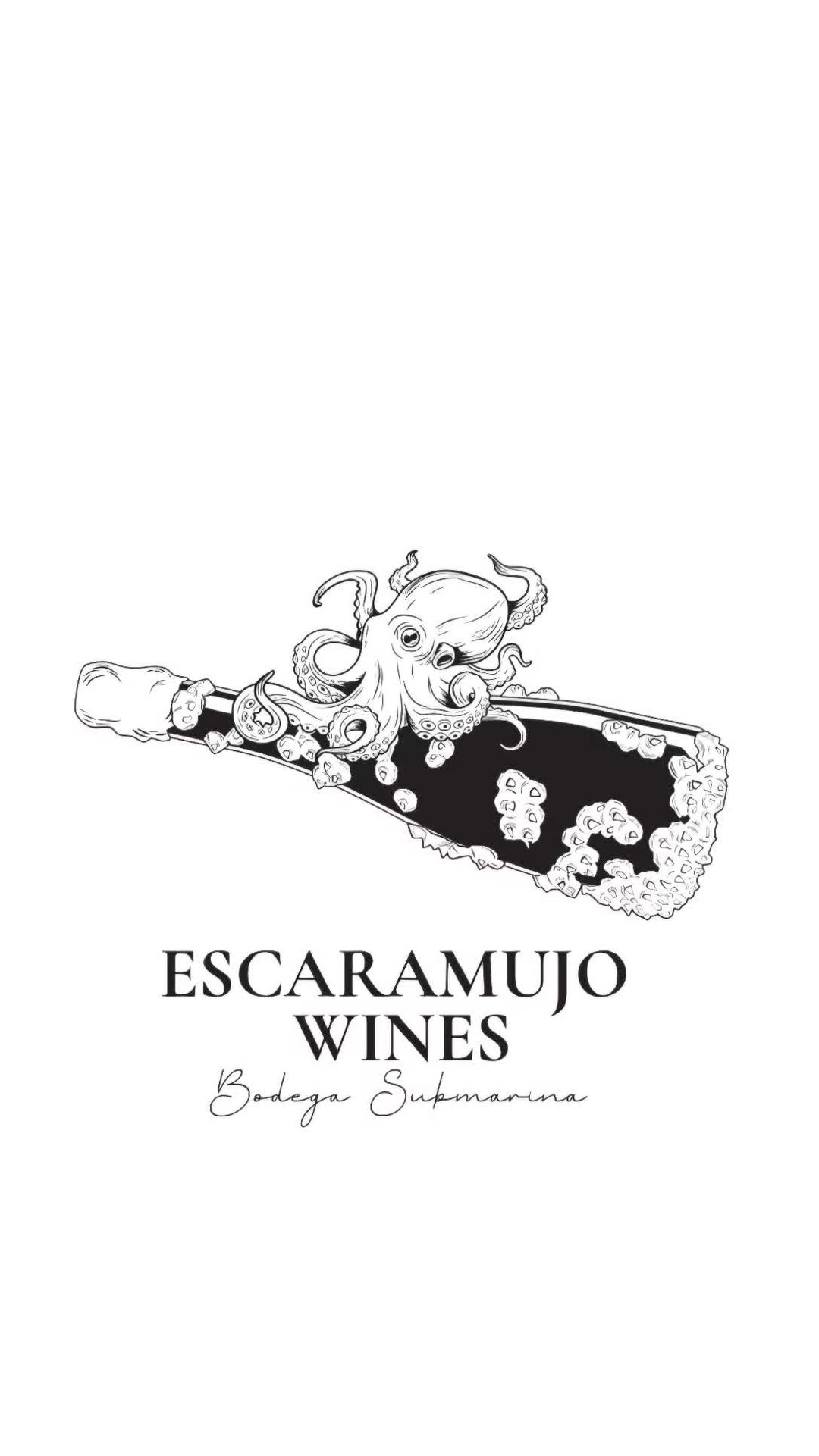 "Cuando la uva pensó que era su fin... se convirtió en vino" ¡FELIZ SAN VALENTÍN!
.
.
.
#Escaramujo #escaramujowines #winelover #ElMejorRegalo #sanvalentin #elregaloperfecto #amor #vino #elmejorvino #vinosubmarino #thebestwine #underwaterwines #UnderWaterWines #underwaterwineshop