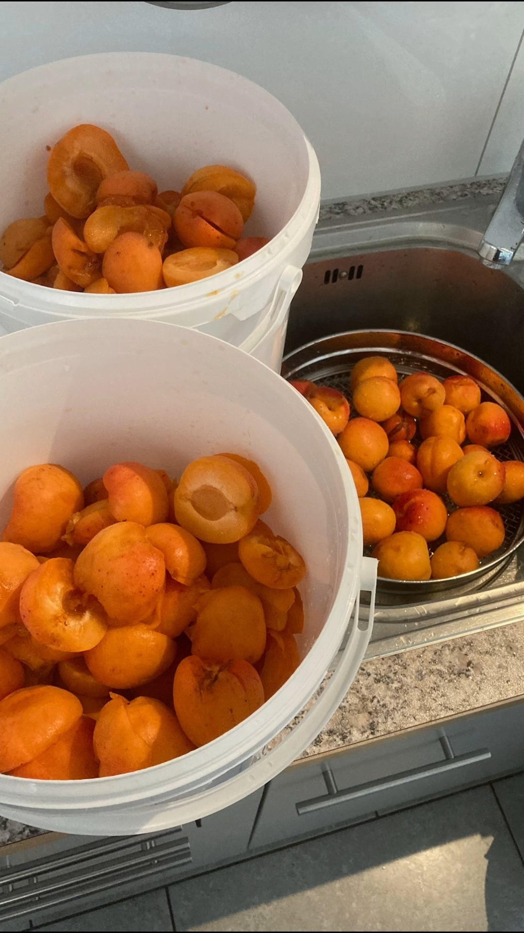 🍨🍑 Mit frischen Aprikosen vom @vomeichhof wird unser Lavendel-Aprikosen-Glacé zur absoluten Geschmacksbombe! 😍🌿 Probiere es und überzeuge dich selbst!
#aprikosen #aprikoseneis #aprikoselnavendel #aprikosenglacé #riva #rivaglace #rivamanufaktur #ammerswil