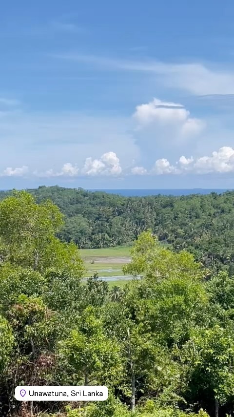 The sound of nature. #nature #serenity #birds #holiday #srilanka #family #southsrilanka