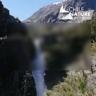 “May it give you and your family peace, happiness, adventures, travel and health.”
The Chile Nature Expeditions team wishes you
" Que está Navidad traiga Paz, felicidad, aventuras, viajes y salud para ti y tú familia”
Les desea el equipo de Chile Nature Expeditions