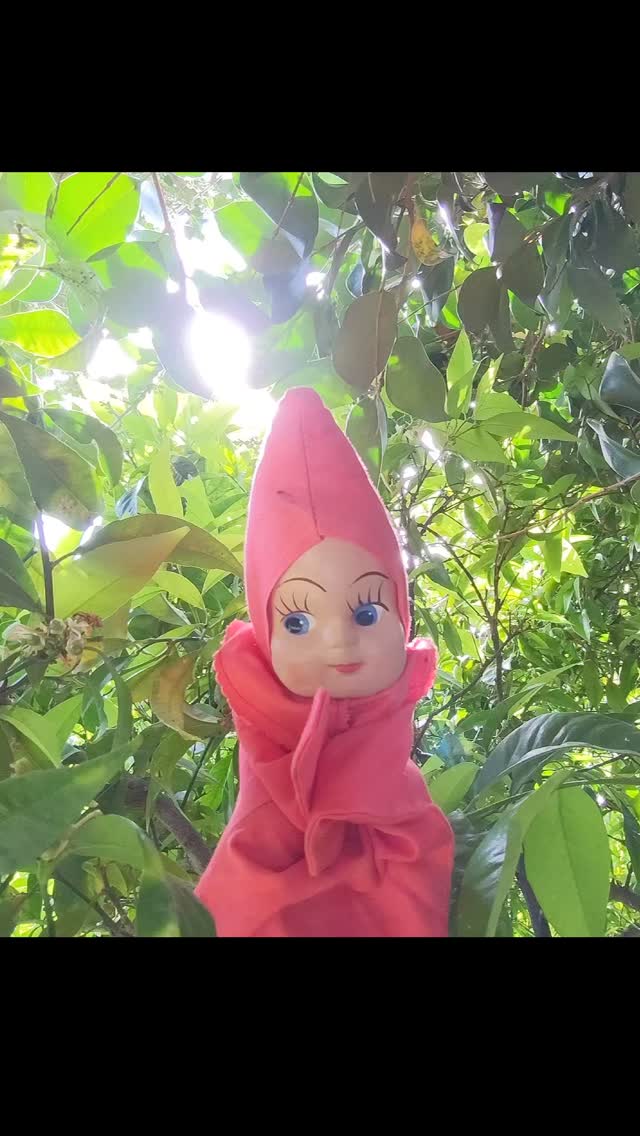 Herbie likes Thursdays and sun rays.