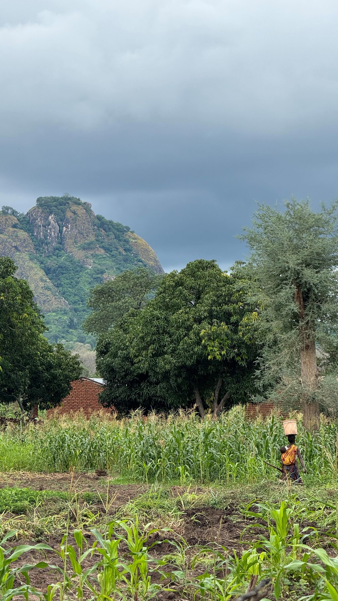 Down at the little plot of land David is cultivating!