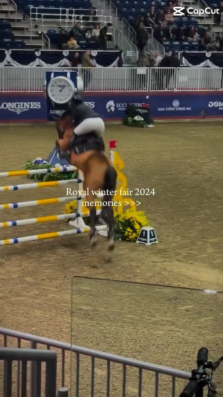 I love our annual trip to the @theroyalfair 💙 This year was @fei_global and @officialsuperdogs show! Enjoy 🐴🐶#toronto #royalwinterfair #exibition #superdogs #dogs #rwf2024 #the6ix #horselove